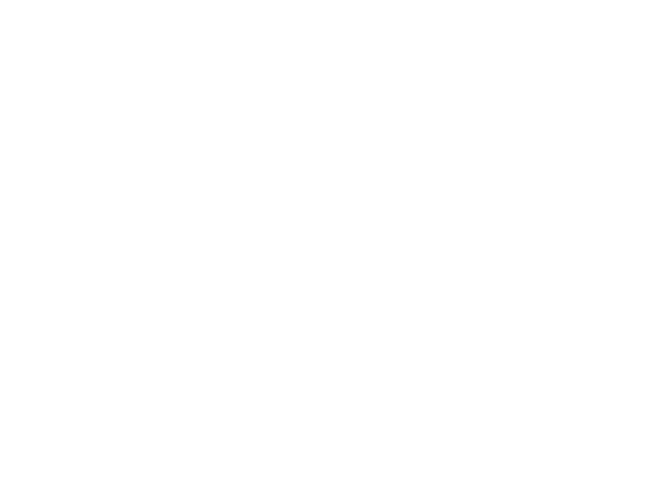 SSAIB